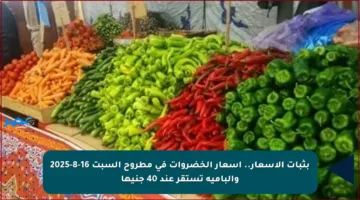 بثبات الأسعار.. أسعار الخضروات في مطروح السبت 16-8-2025 والبامية تستقر عند 40 جنيها